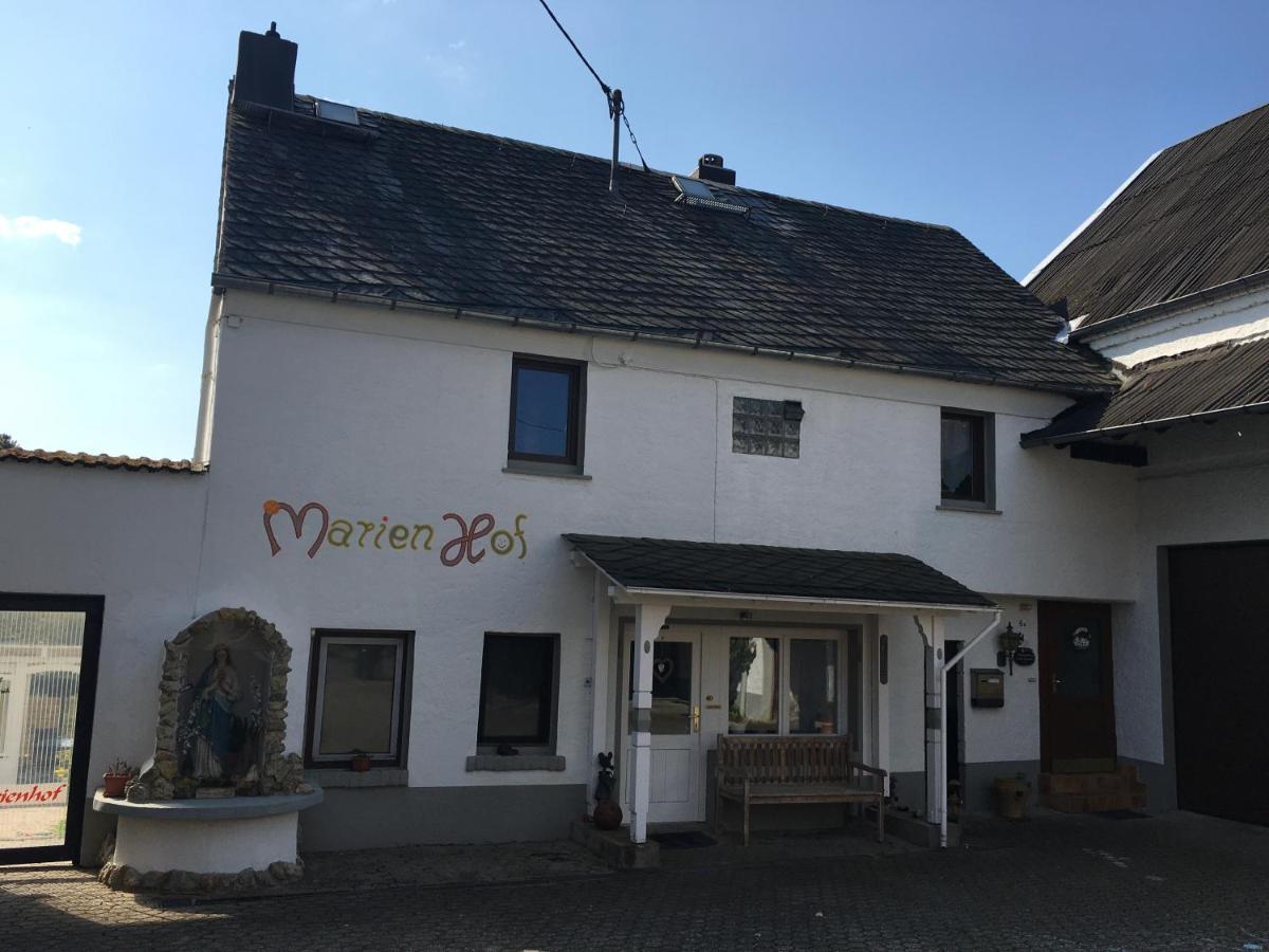 Ferienwohnung Marienhof Erdgeschoss Seelbach  エクステリア 写真